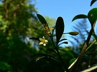 2010-06-04_09-50-15_0023