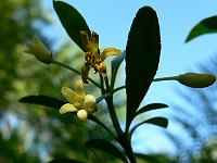 2010-06-04_09-50-28_0025
