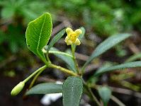 2010-06-07_15-56-21_0106