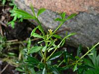 2010-06-19_15-42-30_0004