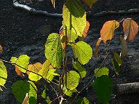 2008-09-25_07-58-34_0030