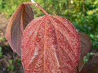 2008-09-26_08-08-26_0044