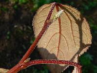 2008-09-26_08-11-10_0074