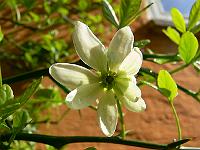 2009-05-09_08-37-13_0105