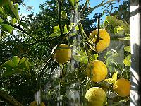 2010-10-16_10-38-08_0004