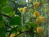 2010-10-19_09-35-46_0034