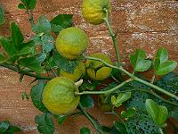 2010-10-19_10-34-55_0052
