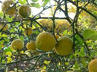 2010-11-03_09-15-58_0001