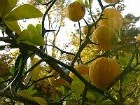 2010-11-03_09-16-26_0009