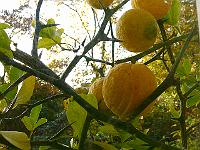 2010-11-03_09-16-42_0012