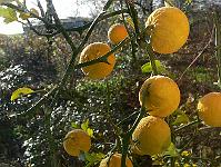 2010-11-12_11-09-43_0003