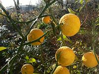 2010-11-12_11-09-59_0006