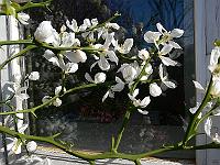 2011-04-25_08-29-25_0142