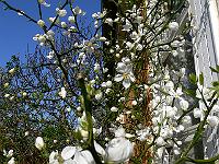 2011-04-25_08-29-46_0148