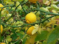 2011-11-01_13-56-20_0044