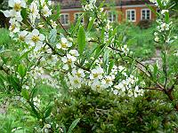 2009-05-07_08-54-25_0093