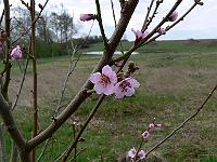 2010-04-27_07-45-01_0059