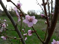 2010-04-28_07-16-27_0018