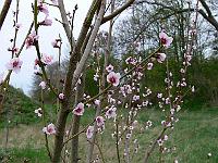 2010-05-03_08-19-21_0037
