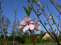 2011-04-25_16-24-03_0004