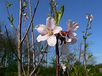 2011-04-25_16-24-31_0010