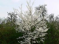 2009-04-14_07-40-45_0103