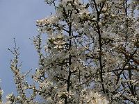 2009-04-14_07-44-09_0137