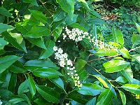25-06-05kodak_233