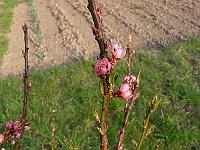 2009-04-14_16-58-46_0126
