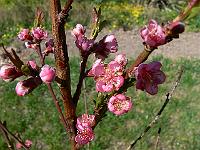 2009-04-17_14-08-51_0080