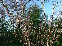 2011-04-25_17-06-53_0166