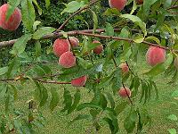 2011-08-04_13-56-51_0107
