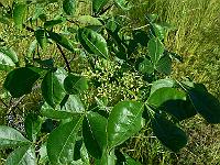 2010-07-01_08-24-37_0026