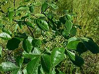 2010-07-01_08-24-47_0029