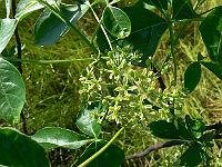 2010-07-01_08-25-09_0034