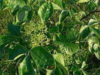 2010-07-02_19-02-49_0023