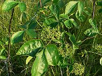 2010-07-02_19-03-02_0027