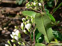 2008-05-29_07-12-06_0116