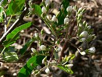2008-05-29_07-12-06_0119