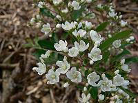 2008-06-02_07-05-05_0022