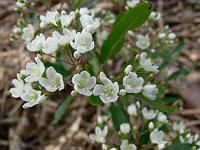 2008-06-02_07-05-05_0028