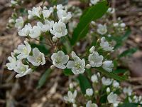 2008-06-02_07-05-05_0029