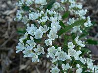 2008-06-04_18-30-05_0014