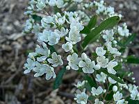 2008-06-04_18-30-14_0017