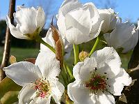2010-05-02_17-57-58_0100