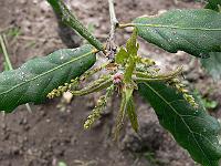 2008-05-15_08-12-18_0052