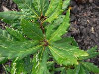 2008-10-27_09-47-24_0134