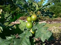 2010-08-03_17-33-09_0049