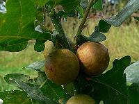 2010-08-13_10-35-50_0046
