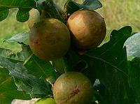 2010-08-13_10-35-50_0047